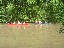 water-fun-event